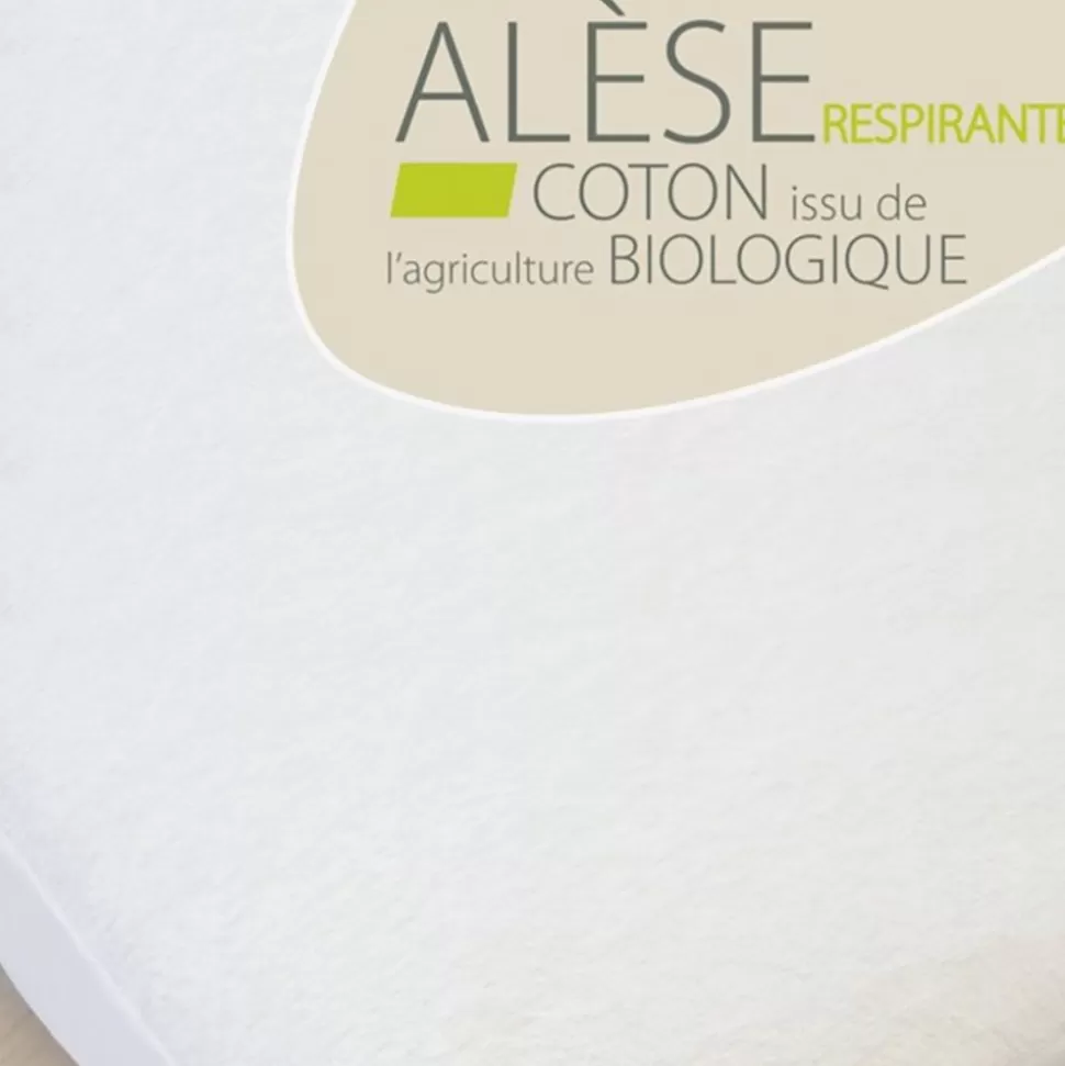 Alese En Coton Bio - 60 X 120 Cm | Kadolis Online