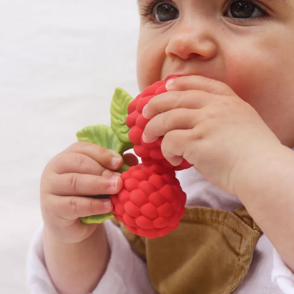 Jouet De Dentition Valery La Framboise | Oli & Carol Best