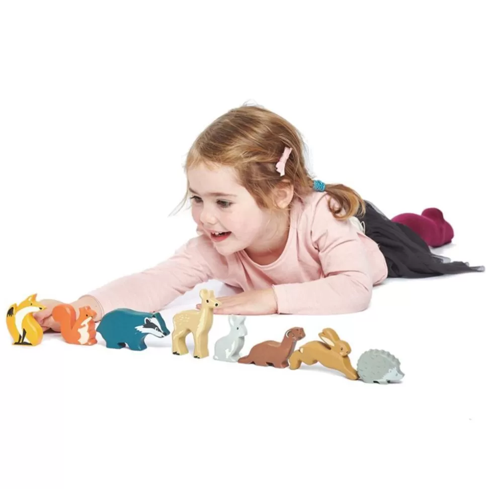 Set Animaux De La Foret | Tender Leaf Toys Outlet